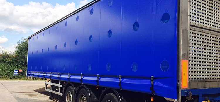 Blue sidecurtain on large truck trailer